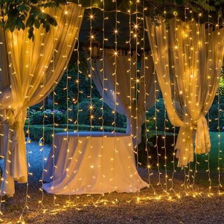 Decorative LED Fairy Lights